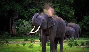 Private Sri Lanka Wildlife Tour 2024 Tour