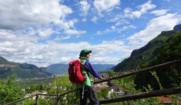 South Tyrolean Wine & Alpine Pasture Trail Tour