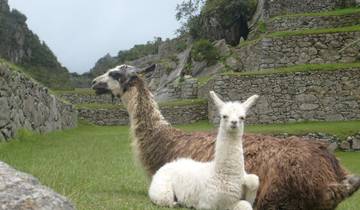 7 Day Peru Itinerary, incl. Cusco and Machu Picchu