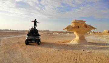 Cairo : 3 Days Bahariya Oasis + Camping in the white desert with Round Trip PRIVATE Transfers Tour