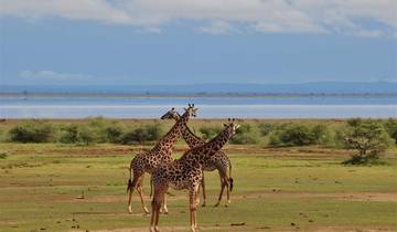 Kenia Rundreise und Tansania Rundreise