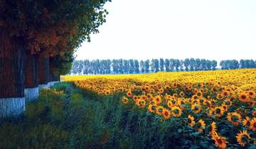 10 Day Romania Itinerary: Bucharest and Transylvania