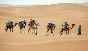 7 Days Camel Trek to Erg Zahar Tour