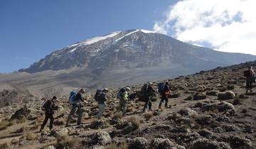 Kilimandscharo über Machame Route - 7 Tage