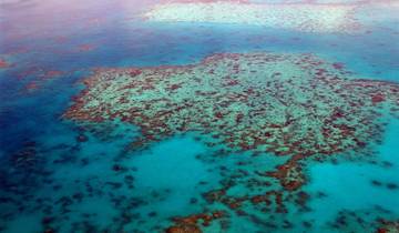 Cairns und das Great Barrier Reef