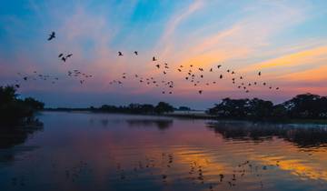 Kakadu & Katherine Gorge Wet Season (Short Break, 3 Days)