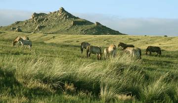 Khustai National Park 2D 1N