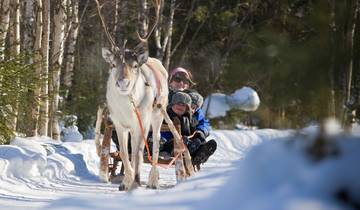 Finland Wildernis Ontdekking - 5 Dagen-rondreis