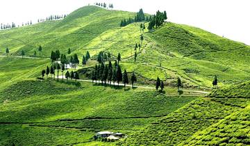 3-Days Eastern Paradise Ilam Tour from Kathmandu