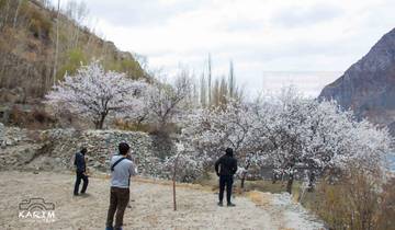 Hunza Valley Cherry Blossom Tour Tour