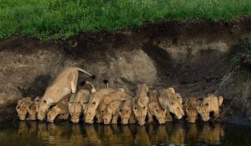 Dagtocht in Arusha Nationaal Park Tanzania-rondreis