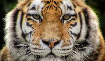 7 Days Golden Triangle Tour with Ranthambore from Mumbai by Flight