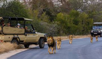 Johannesburg Adventure Safari 4 jours/ 3 nuits - Confort circuit