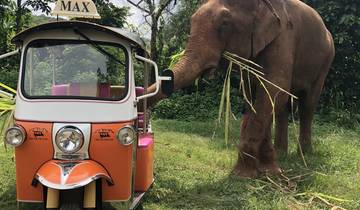 Aventure en Tuk Tuk avec chauffeur à Chiang Mai - 5 jours