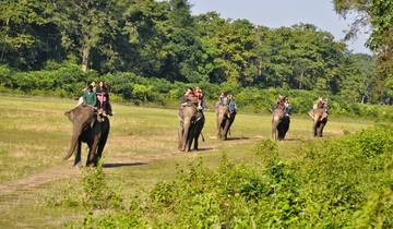 Luxe Chitwan Pokhara Rondreis door-rondreis