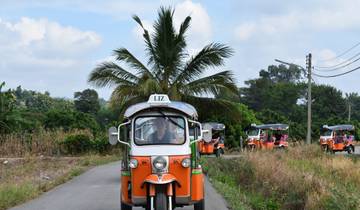 11 Day Tuk Tuk Adventure in Thailand - with driver! Tour