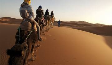 Oasis & Desert, 4 days, Private tour