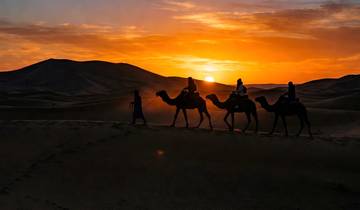 20-daagse Grand Overland Marokko: Woestijn, Atlasgebergte, keizerlijke steden & Atlantische kust-rondreis