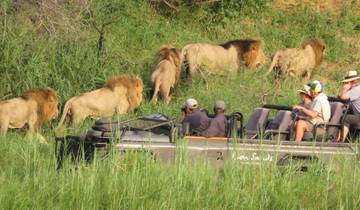 Private Cape Town and Fly to Kruger Private Safari - 7 Days Tour