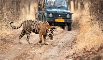 Delhi - Agra - Jaipur with Ranthambore Tiger Safari : 6 Days Tour