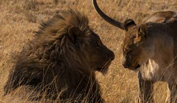 Northern Tanzania Circuit (Camping) - 6 Days Tour