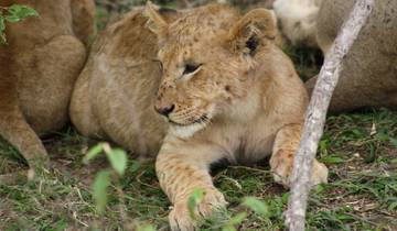 7 Days 6 Nights The Best of Kenya Adventure