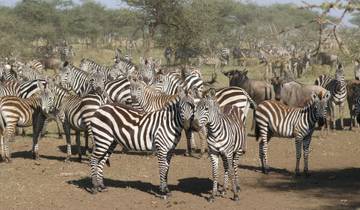 3 Days /2 Nights Masai Mara via The Great Rift Valley (Luxury) Tour