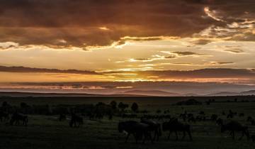 3 Days in Masai Mara via The Great Rift Valley (Comfort Plus) Tour