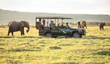 3 Days 2 Nights in Maasai Mara via The Great Rift Valley