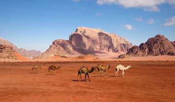 5 Tage 4 Nächte Das Beste aus Southern Jordan vom Flughafen Aqaba (AQAPT-JHT-002)