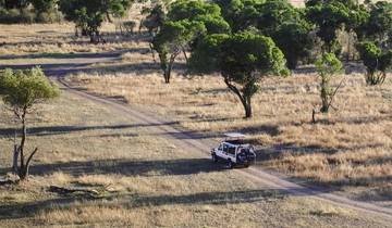 3Days 2Nights Ngorongoro et; Lake Manyara - Confort circuit