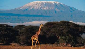 Mt. Kilimanjaro via Machame Route - 8 days budget camp