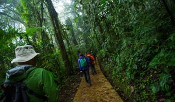 Costa Rica: Monteverde and La Fortuna Tour