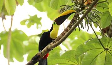 7 Days in Costa Rica, incl. Monteverde and La Fortuna