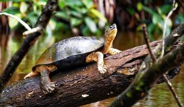 7 Days in Costa Rica, incl. Monteverde and La Fortuna