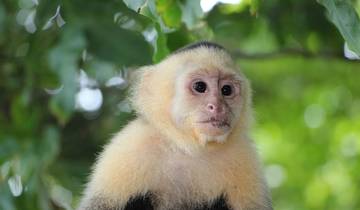 7 Days in Costa Rica, incl. Monteverde and La Fortuna