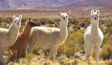 Argentinien: Salta & Iguazú oder umgekehrt - 6 Tage