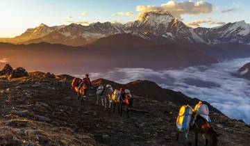 Short Ghorepani Poon hill Trek