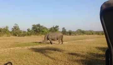 5 Tage Krüger National Park & Panorama Route Tour Rundreise