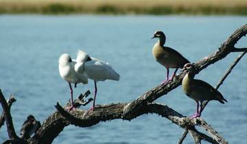 3 Day | Pilanesberg Big 5 Reserve