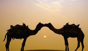 6 Days Golden Triangle with Jaisalmer Desert Safari