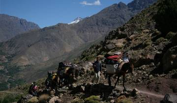 Trekking In Morocco: Atlas Trek - 2 Days Tour