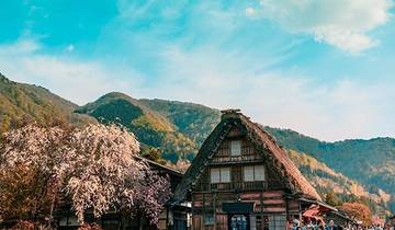 Circuito Japón Patrimonio de la Humanidad