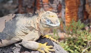 Circuito Circuito de un día a las Plazas Sur de Galápagos