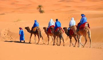 From Marrakech 3-Day, 2-Night Desert Trip to Merzouga Dunes