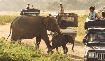 Circuit touristique au Sri Lanka 13 jours, 12 nuits avec chauffeur privé, véhicule et hébergement H/B circuit