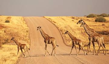 12 Days Namibia in Plus | Private Guided Camping Tour