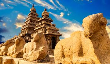 29 Day India Itinerary, incl. Kochi and Delhi