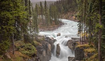 Wapiti - Découvrez la beauté de l\'Ouest canadien circuit