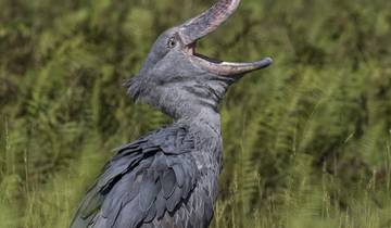 Circuito Safari de 2 días en albergue en Tanzania al lago Manyara y al cráter del Ngorongoro